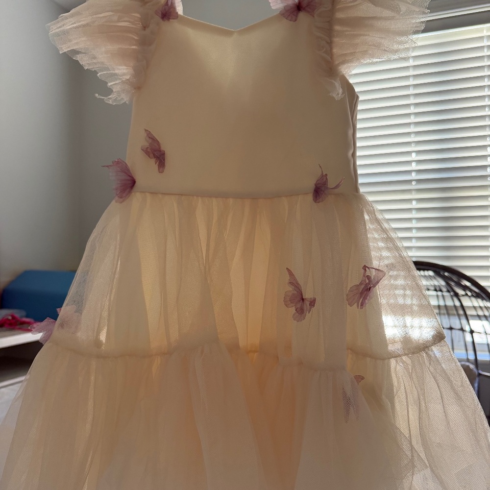 Butterfly dress